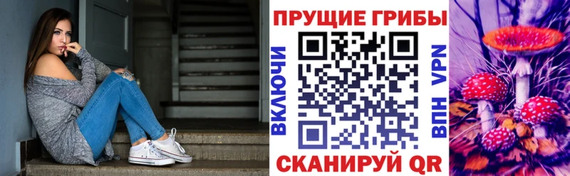 Галлюциногенные грибы прущие грибы  Купить  Луховицы 